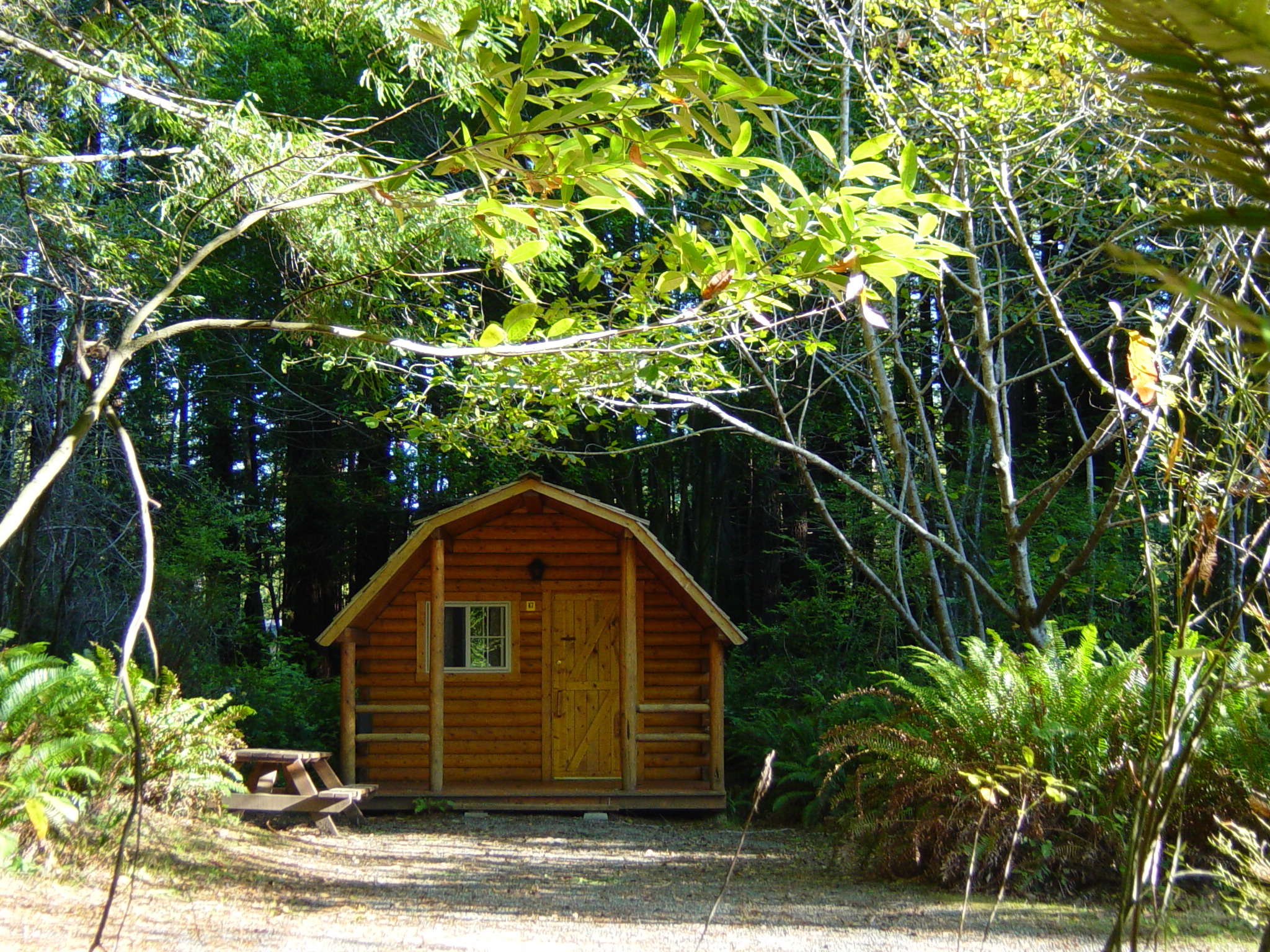 1 Room Cabin
