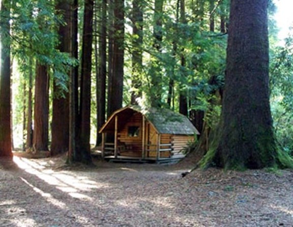 Another one of the peaceful 1-room cabins in the forest.