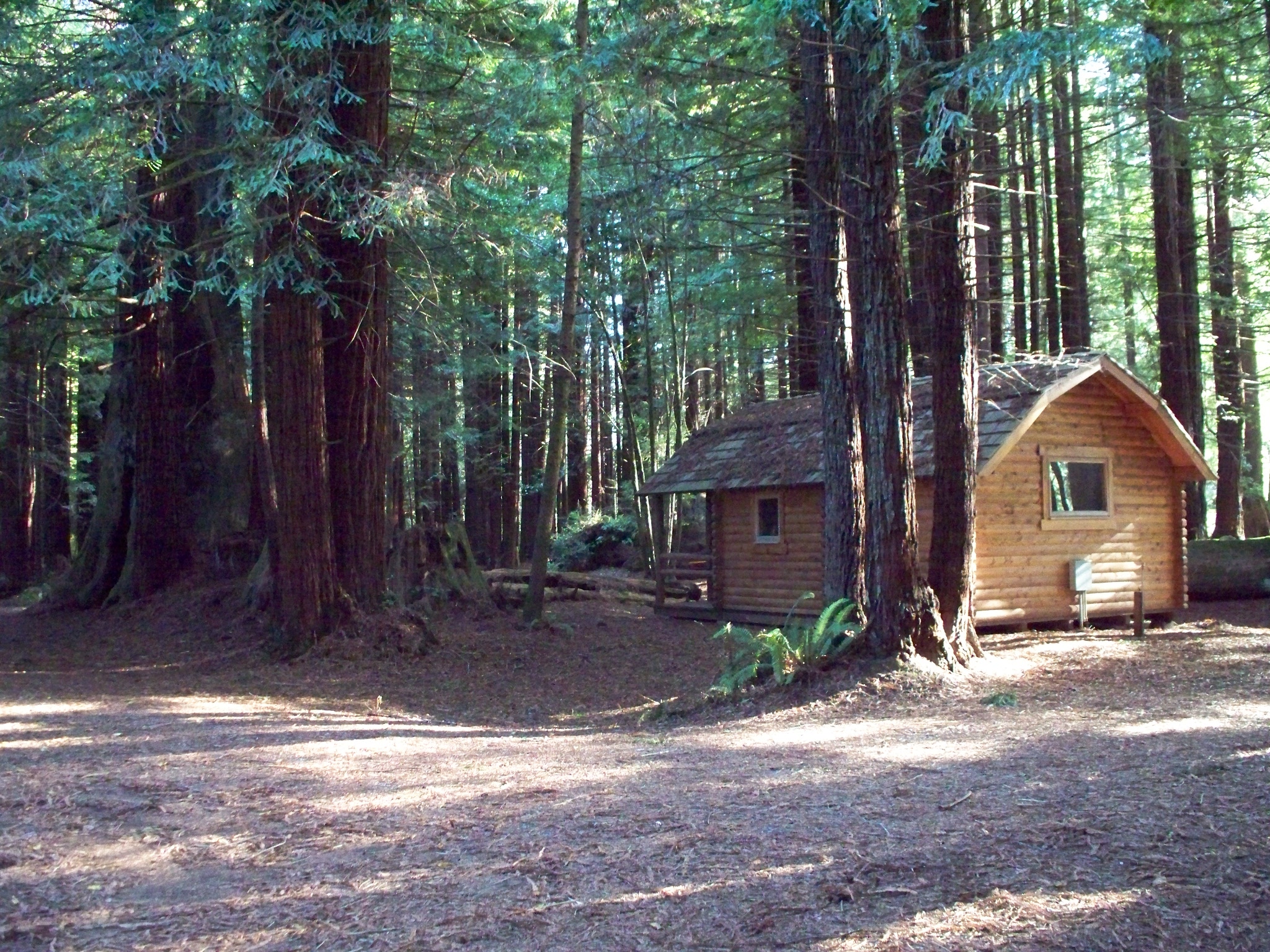 Crescent City California Lodging Crescent City Redwoods Koa