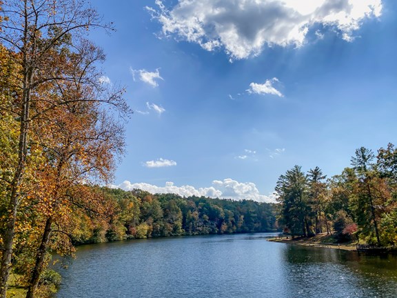 Cumberland Mountain State Park