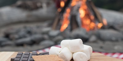 S&#39;more Spring Sweets