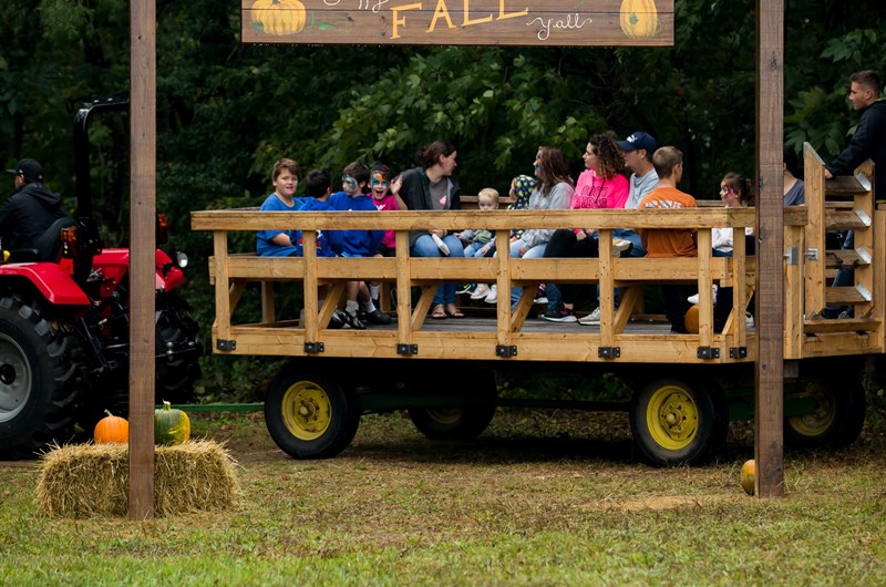 Fall Camping Photo