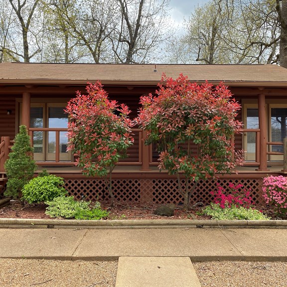 Plan a trip to McAlmont, Arkansas
