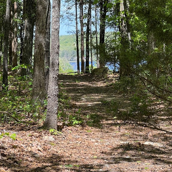 Plan a trip to Senath, Missouri