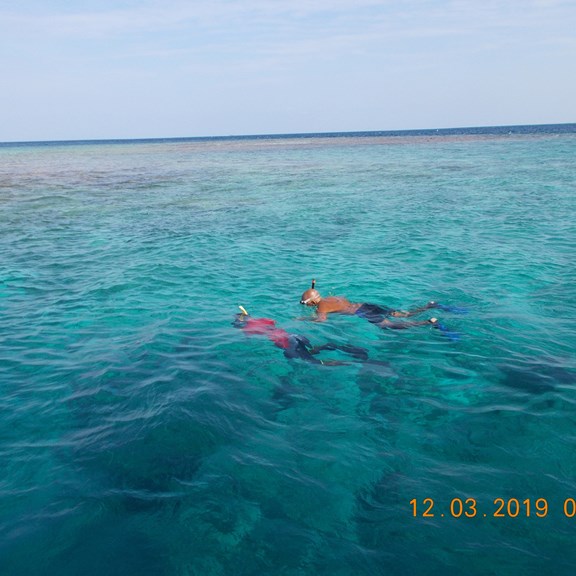 Scalloping
