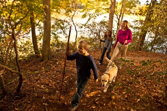 Nature Walk