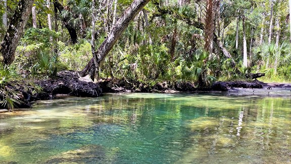 Chassahowitzka National Wildlife Refuge