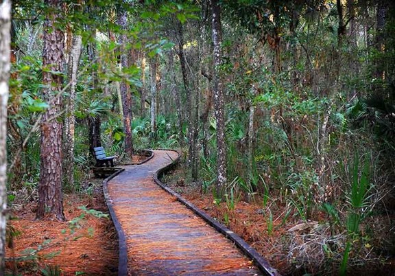 Crystal River Preserve State Park
