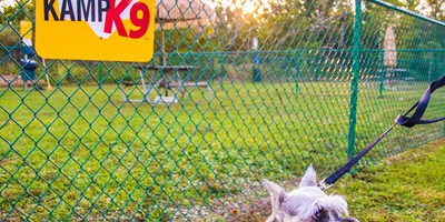 Crystal River KOA: Dog Friendly Trails Spotlight