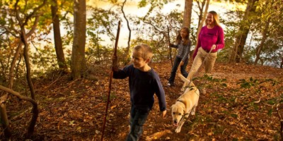 Dog Friendly Attractions and Restaurants