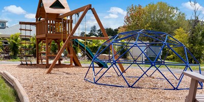 Local Things to do With Your Kids