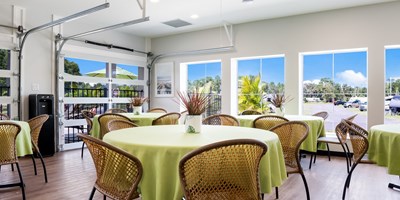 Friday Rock Painting and Snacks