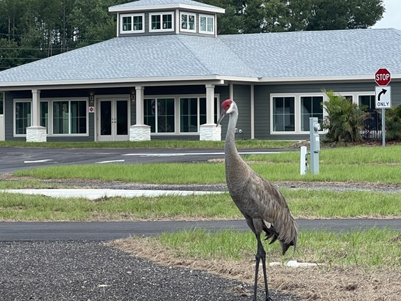 Plan a trip to Maitland, Florida