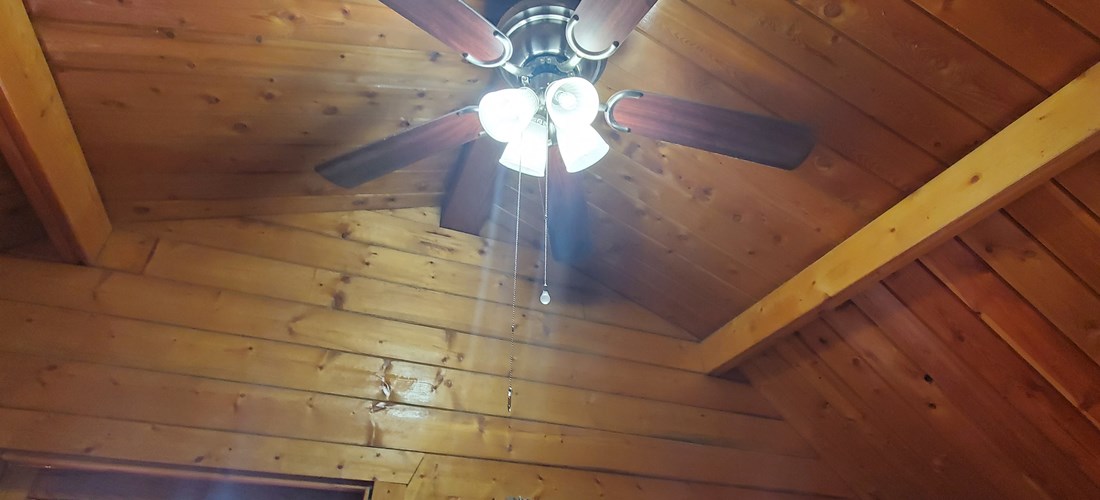 Ceiling Fan - Room Two