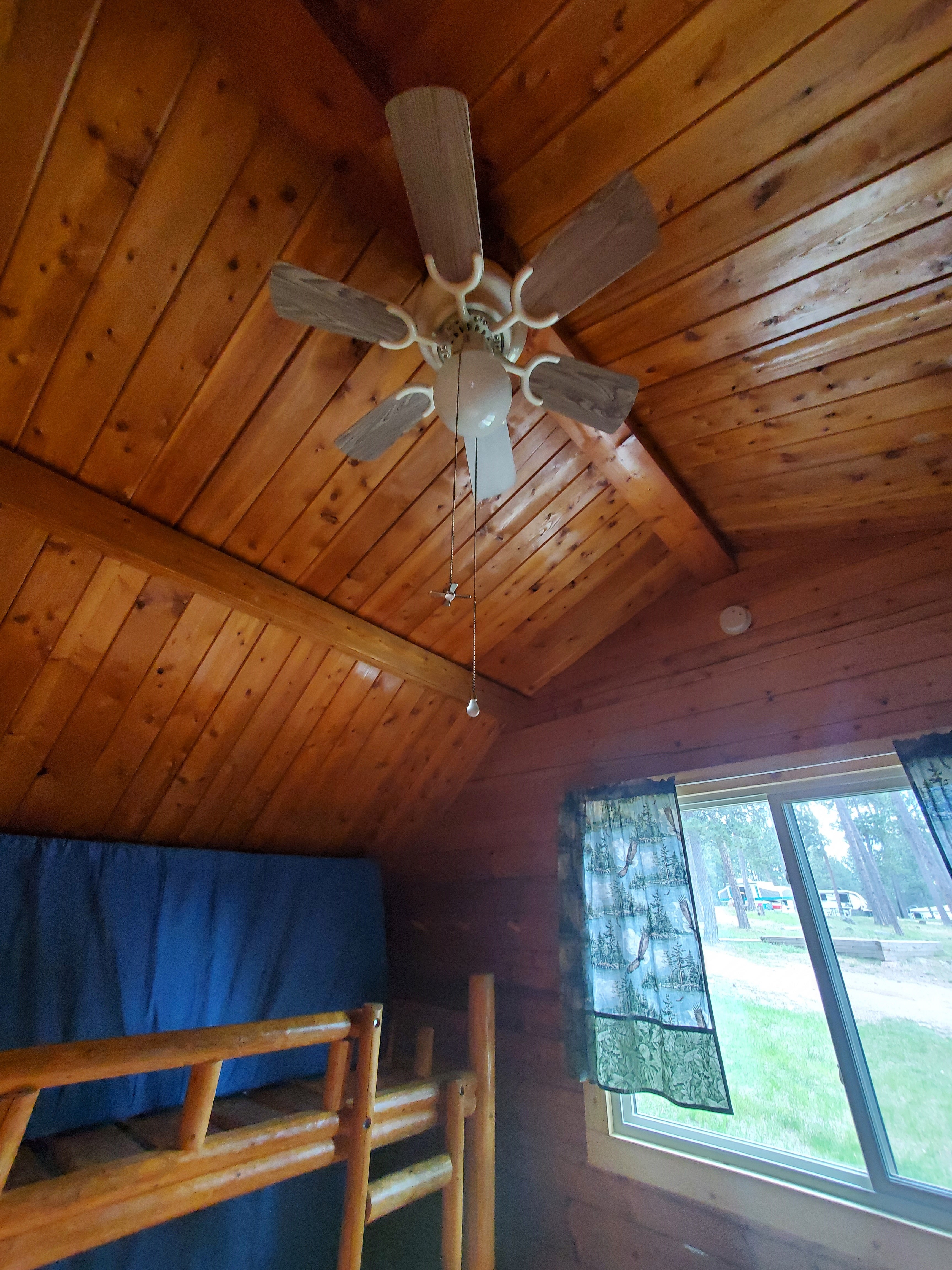 Ceiling Fan