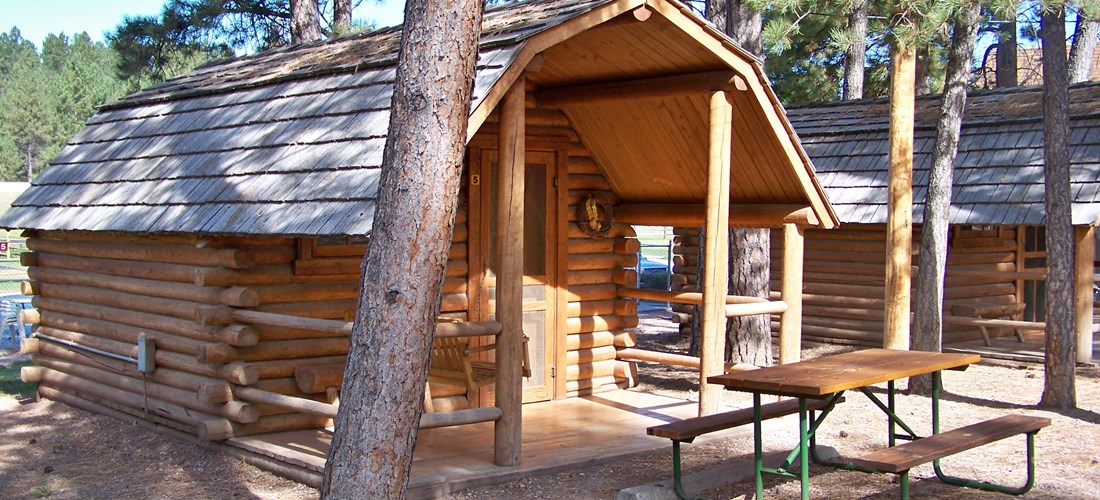 One room cabin