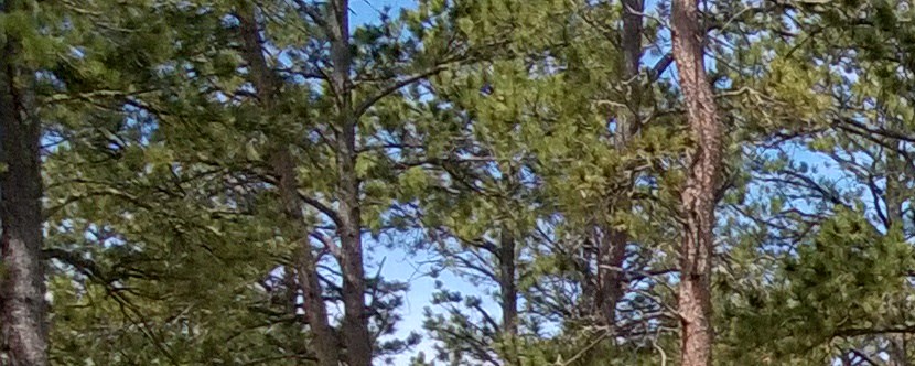 Custer, South Dakota Campground | Custer / Mount Rushmore ...