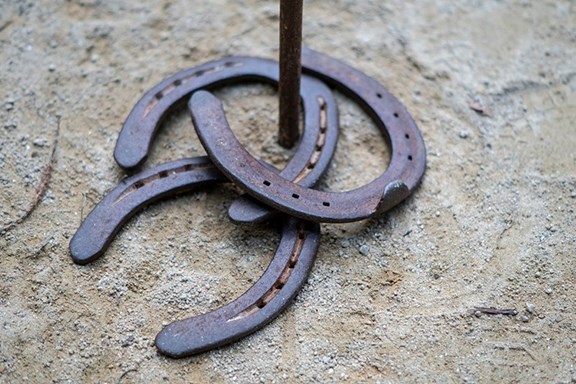 Horseshoes
