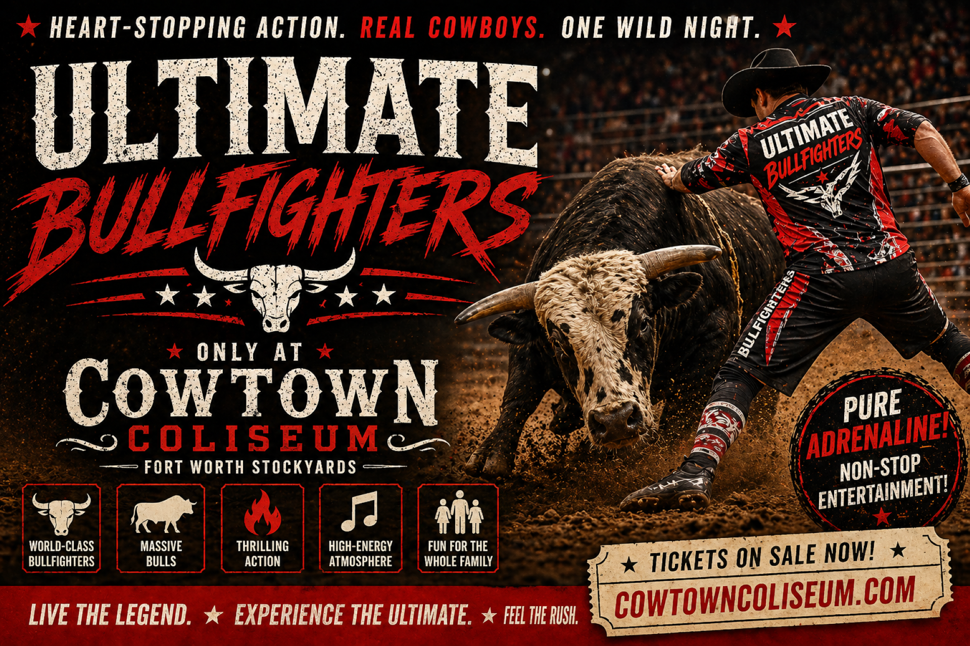 Ultimate Bullfighters Photo
