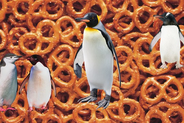 Pretzels & Penguins Photo
