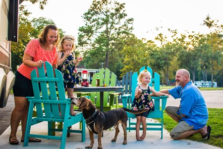 Dallas / Arlington KOA Holiday