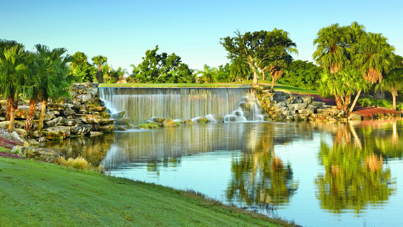 Davie Zip Code