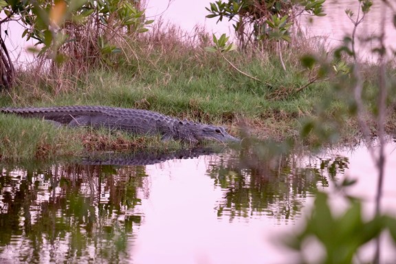 Everglades National Park