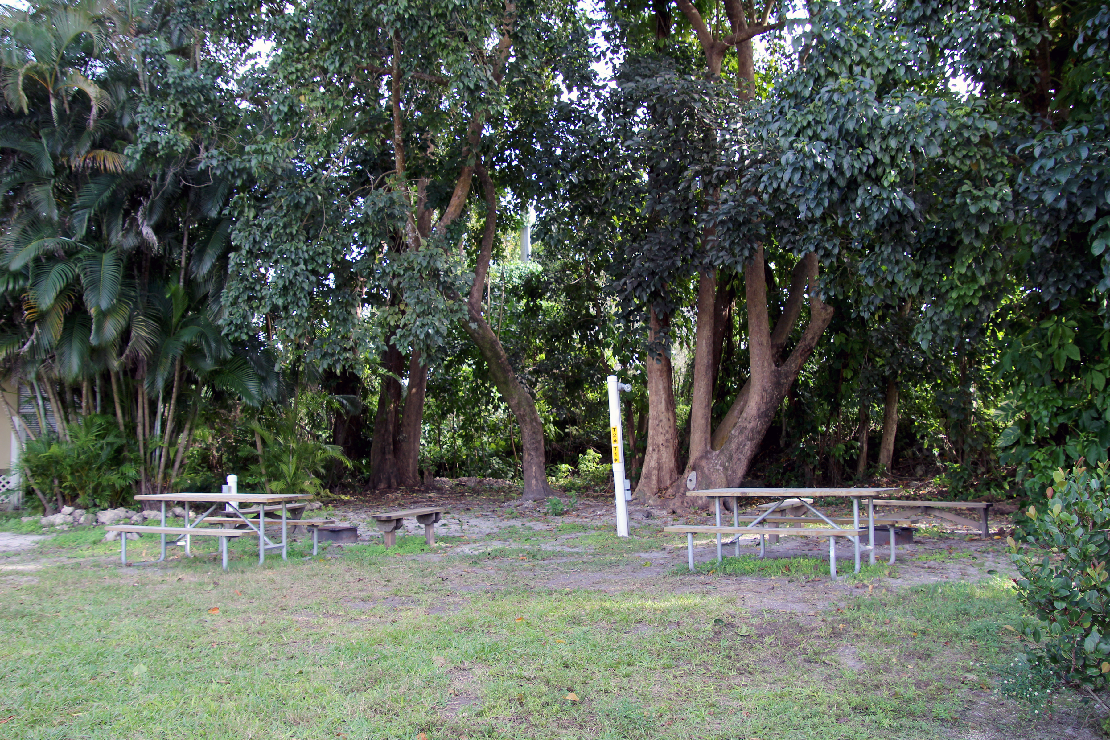 Site T1 & T2