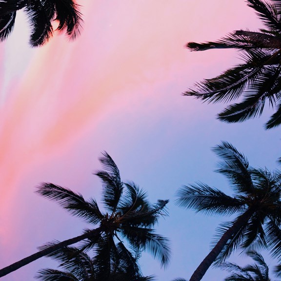 Plan a trip to Tamiami, Florida