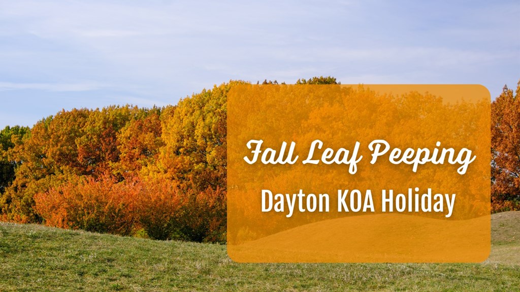 The Ultimate Guide to Leaf Peeping in Dayton, Ohio