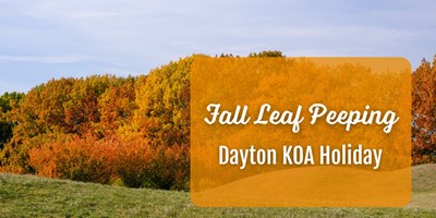 The Ultimate Guide to Leaf Peeping in Dayton, Ohio