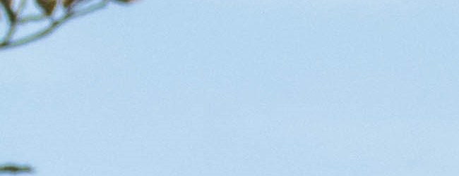 Troy's Treasure Island Park has new life along the Great ... Brookville, Ohio Campground | Dayton KOA