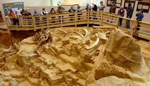 The Mammoth Site