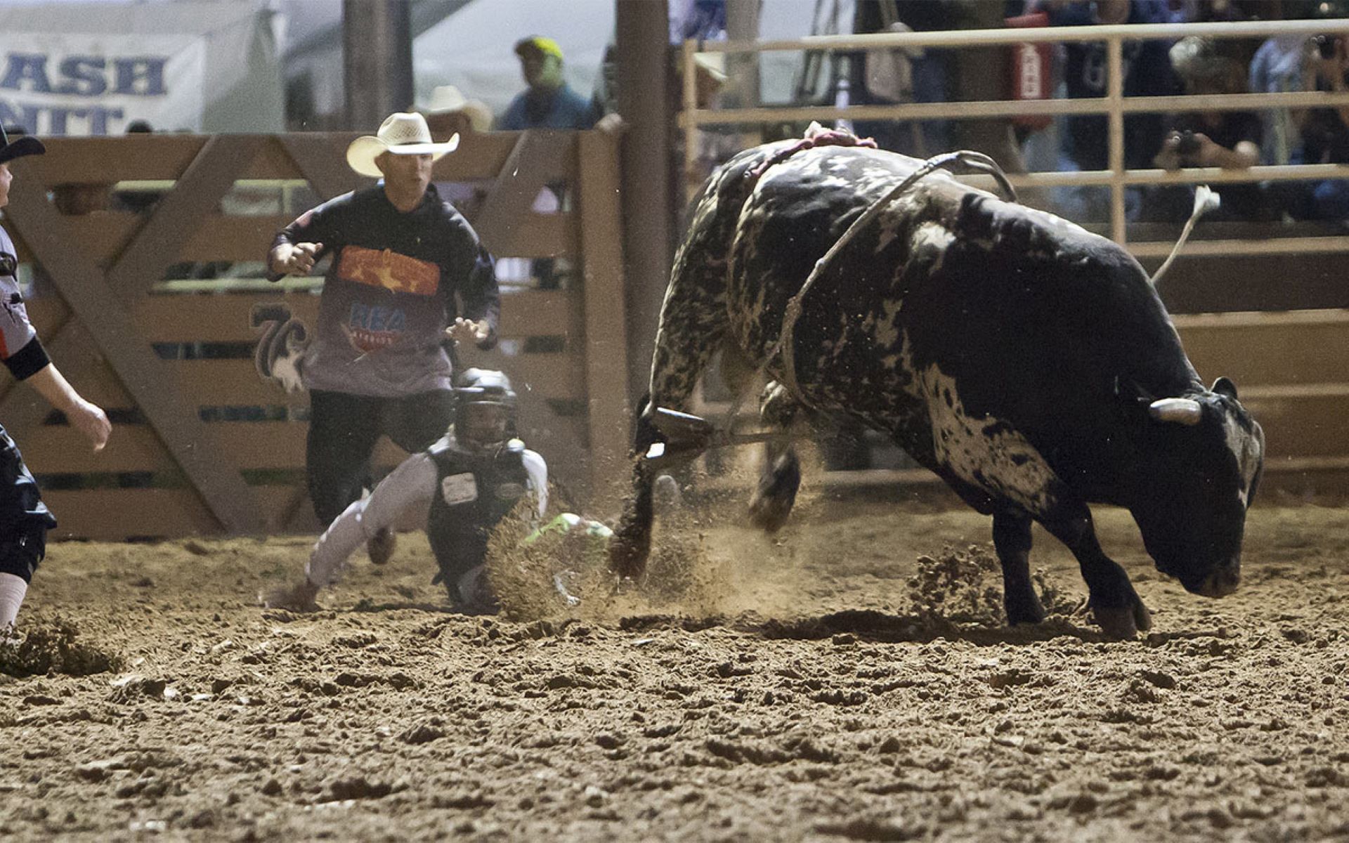 Deadwood PBR (Professional Bull Riding) Photo