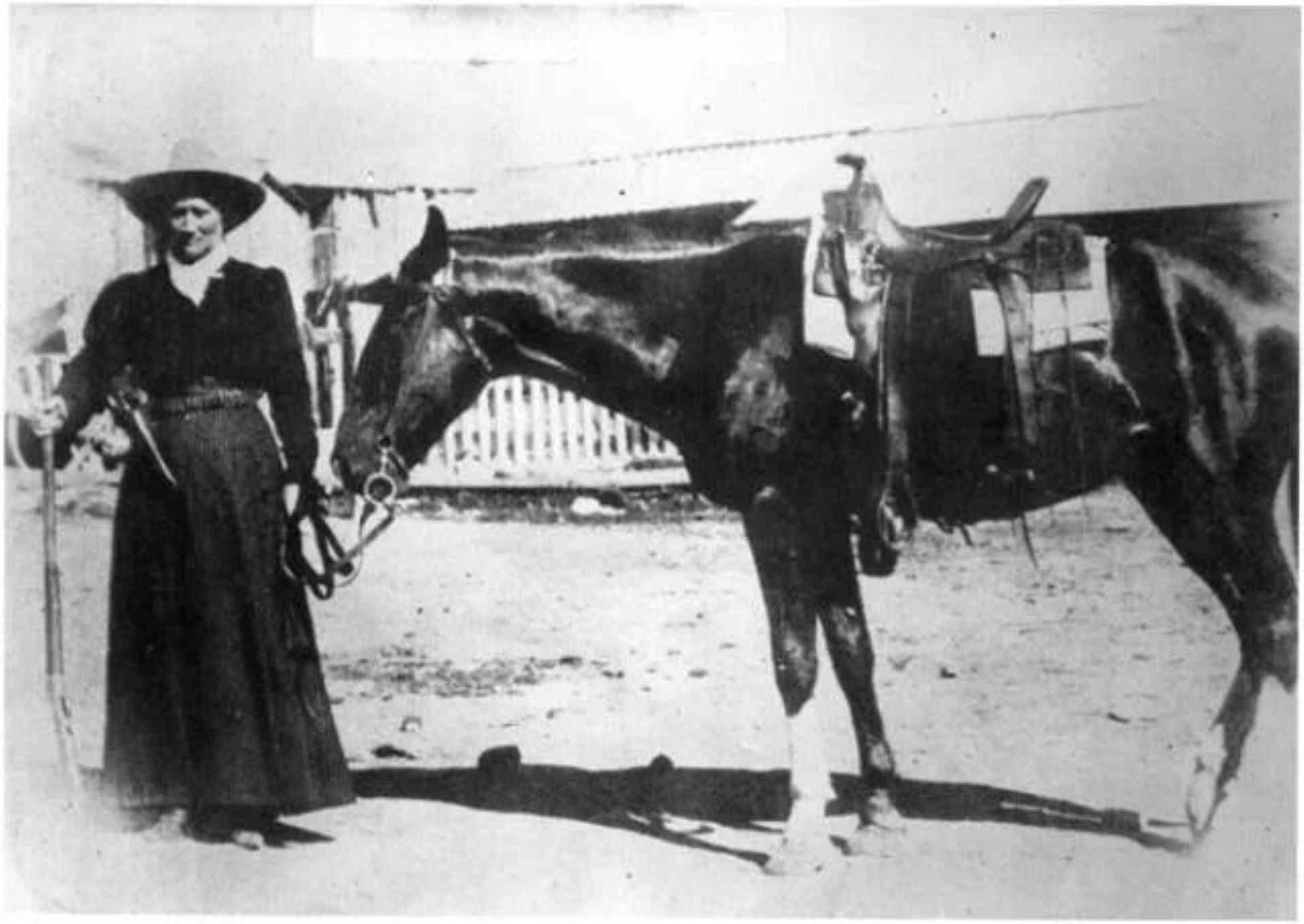 Wild Bill Days Photo