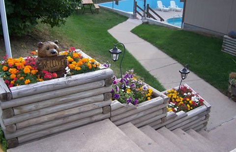 Deadwood / Black Hills KOA Holiday