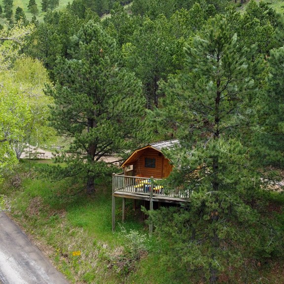 Cabin #8
