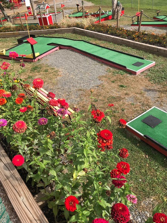 Mini Golf