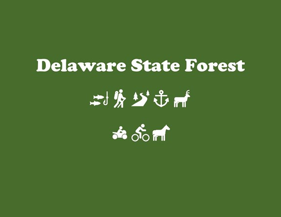 Delaware State Forest