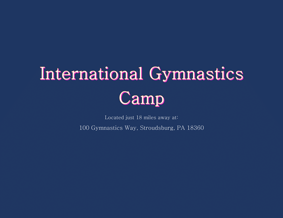 International Gymnastics Camp