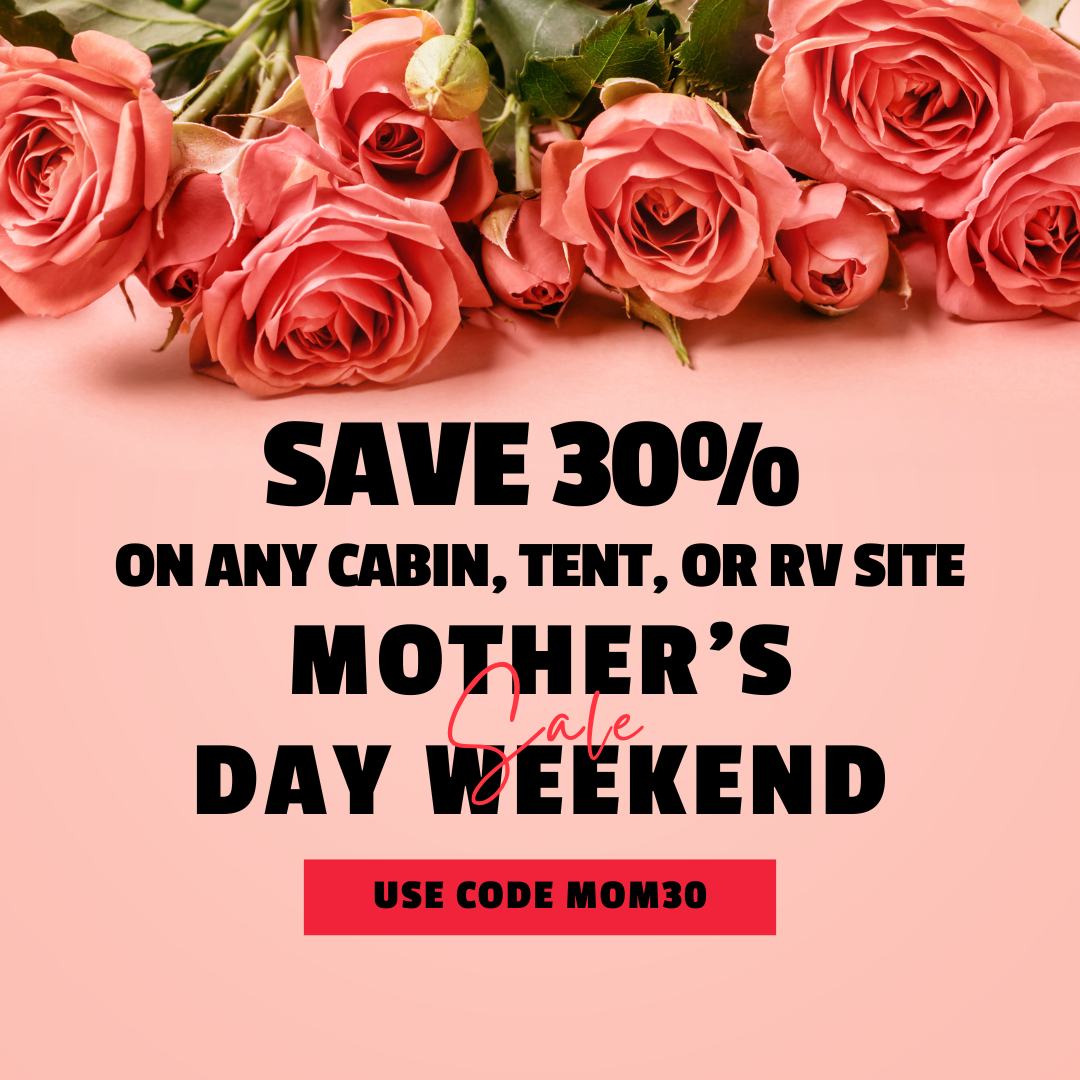 Hot Deal Image