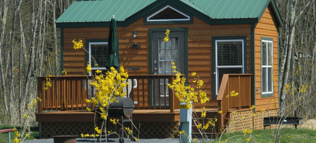 Cozy cabin for pets and their people
