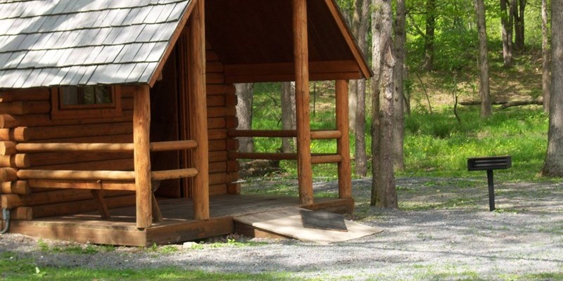 Pet-friendly rustic cabins