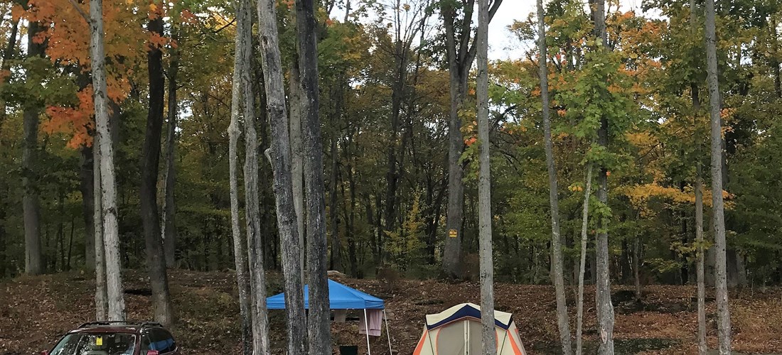 Wooded sites with tall trees