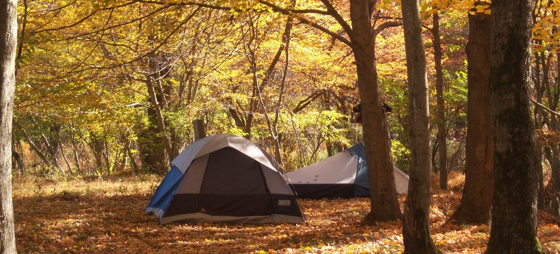 Tent Site