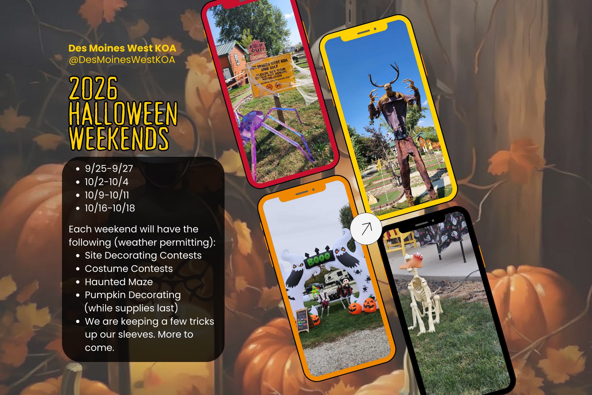 Halloween Weekends 2026 (weather permitting) Photo