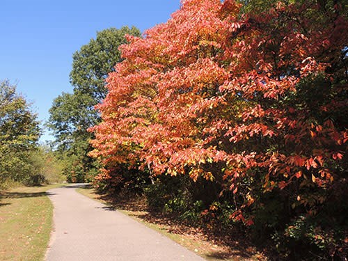 Ford Heritage Park