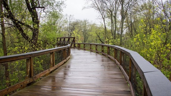 Border-to-Border Trail