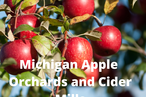 Orchards and Cider Mills Photo