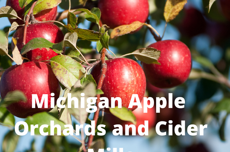 Orchards and Cider Mills Photo